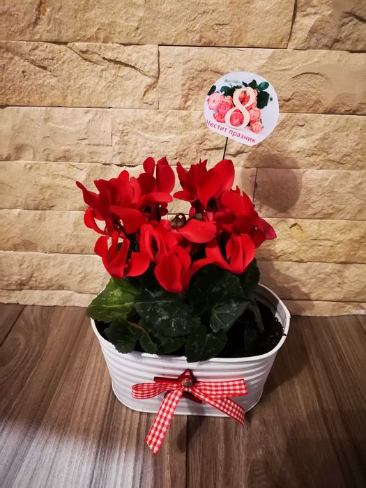 Подаръци с естествени цветя