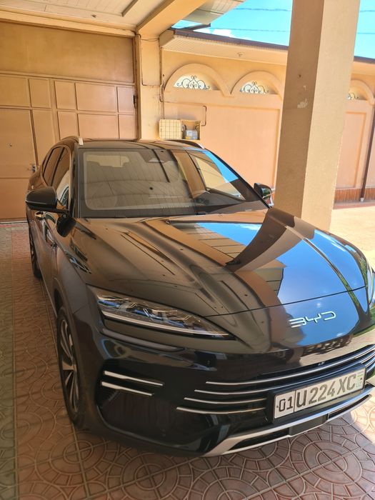 Byd song champion