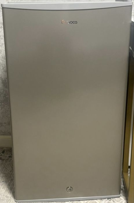 Холодильник «Бирюса»