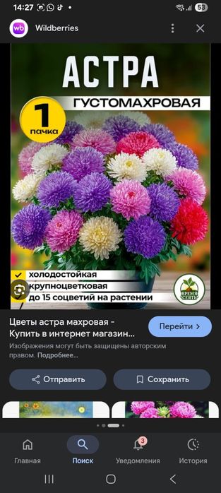 Продам рассаду цветов