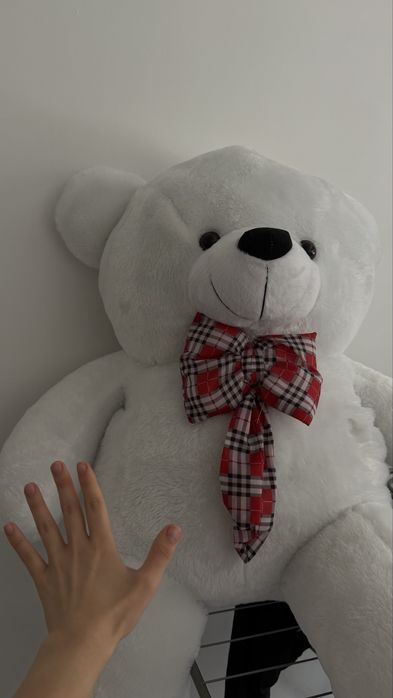 Плюшевая Мишка 110м
