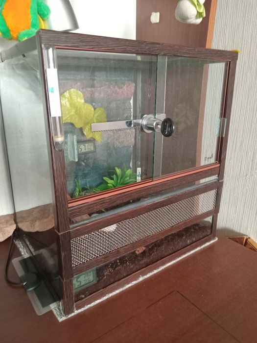 Террариум Террариум