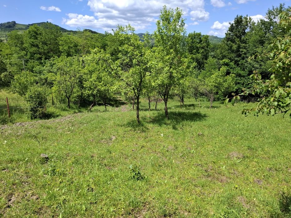 Oferim spre  vanzare teren de 5000 m.Dintre acestia 1000 m ,intravilan perfect pentru casa ta de vis sau o cabana de weekend .