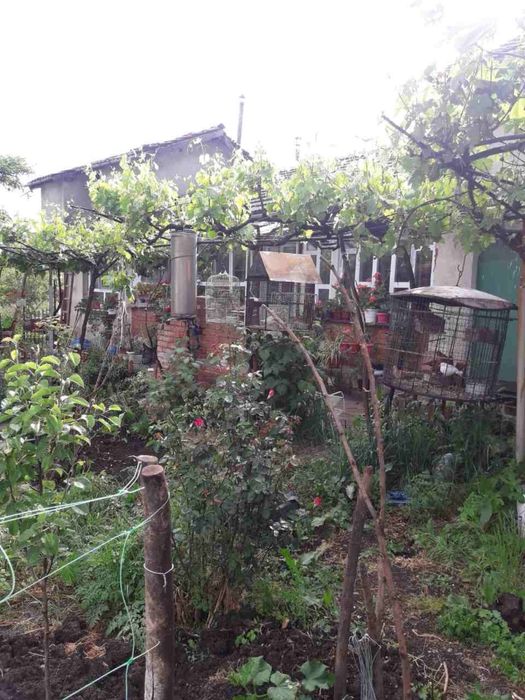 Продава се Къща в с. Васил Левски, Област Стара Загора - 90 кв.м за 146 €/кв.м - Снимка #2