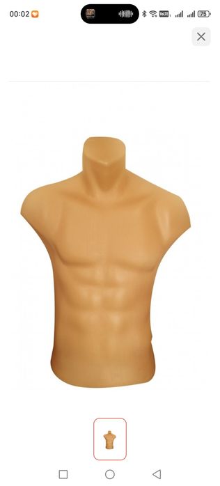 Мужской манекен буу