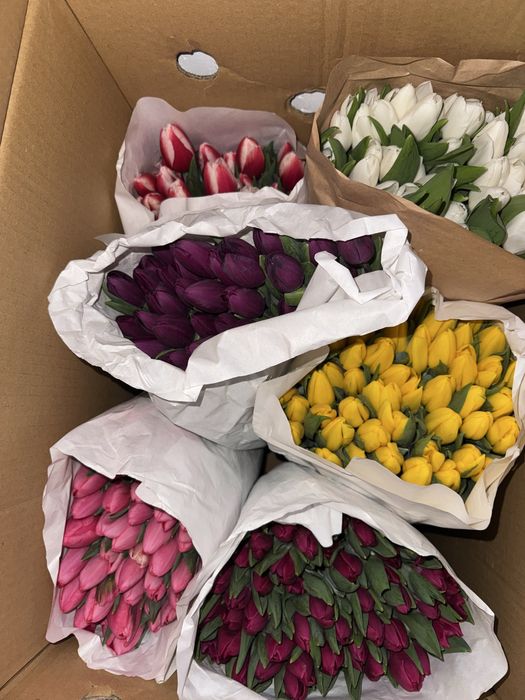 Тюльпаны 640 тг белоруссия