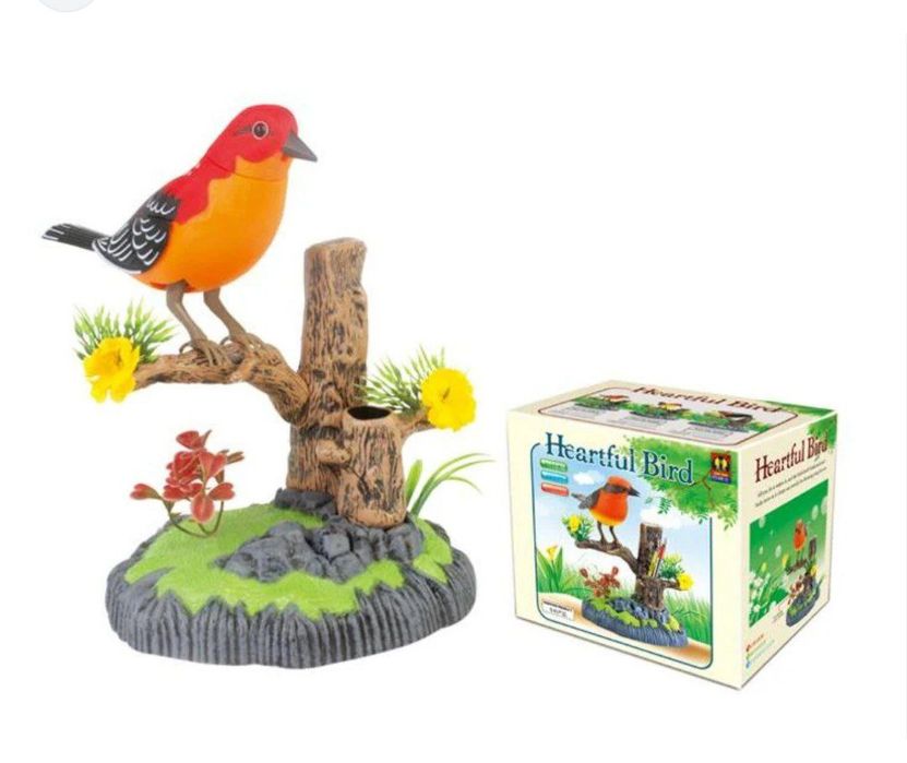 Sayroqi qush / К,уш Сайрок,и