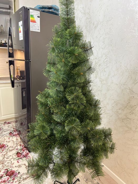 Продаю ЕЛКУ высота 175 см