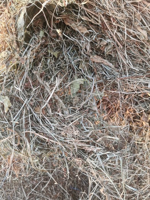 Vând baloti de otava