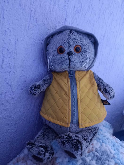 Басик в жёлтой жилетке