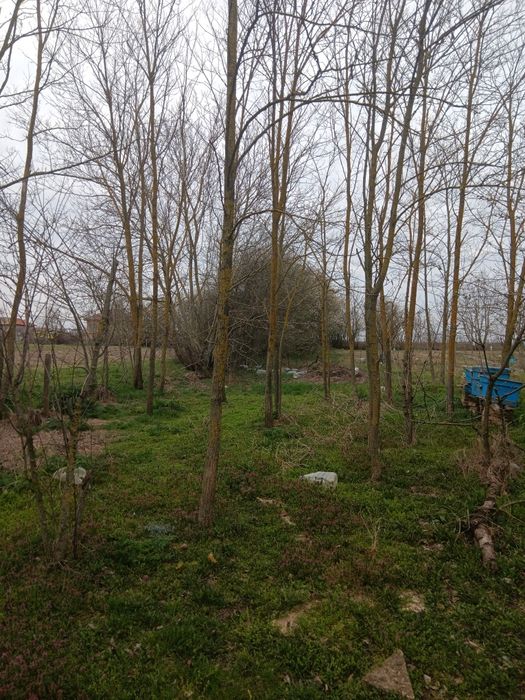 Продава се Къща в с. Дъбовик, Област Добрич - 60 кв.м за 750 €/кв.м - Снимка #9