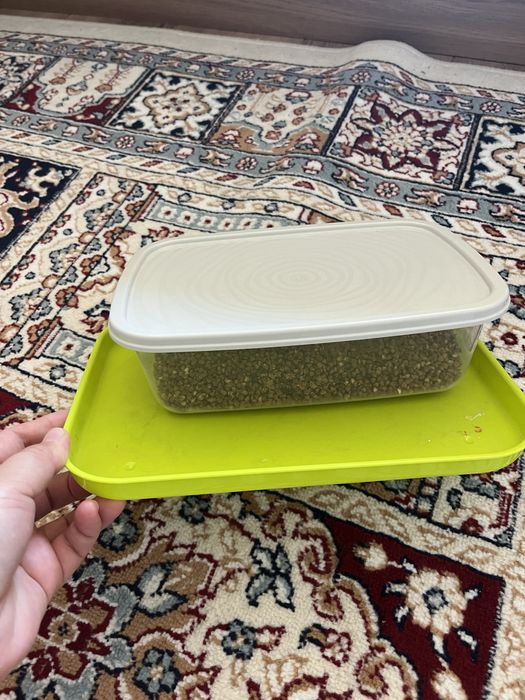 Пособия логопеда, садик