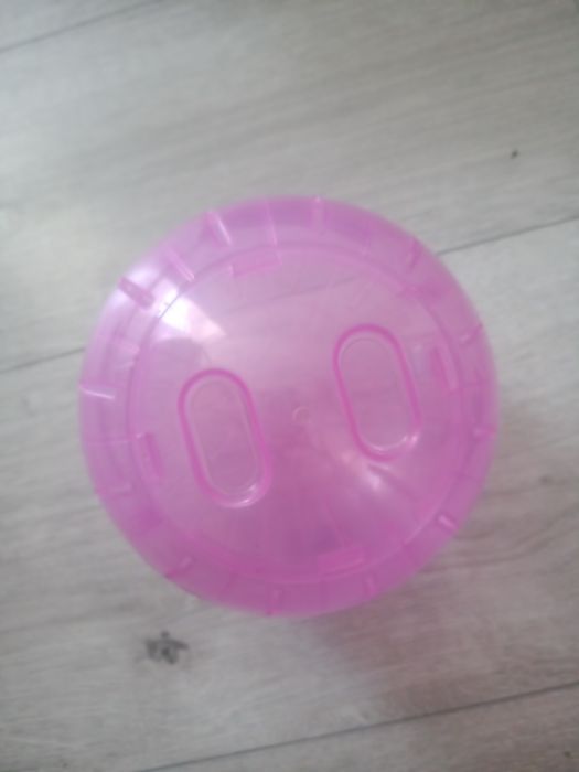 Roata pentru hamsteri!