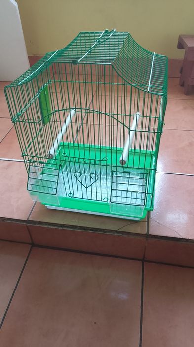 Colivi pentru păsări mici