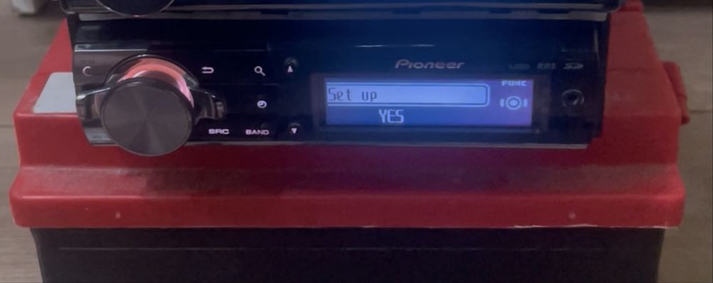 Pioneer Дельфины в продаже