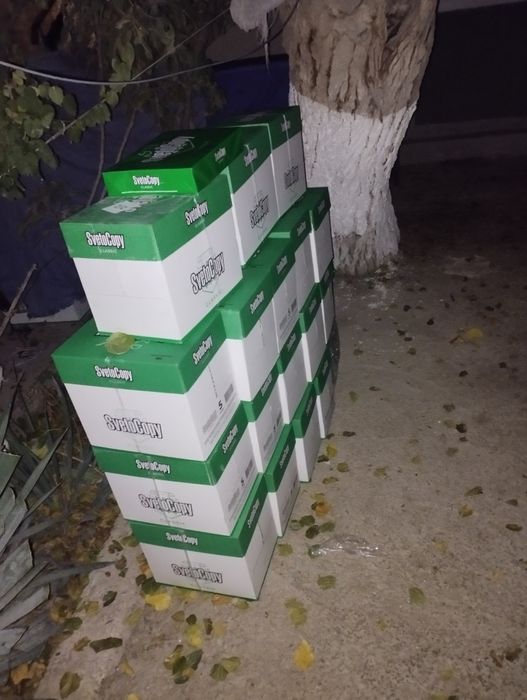 Sveto Copy va Snegurochka Bizda   Arzon    Narx !