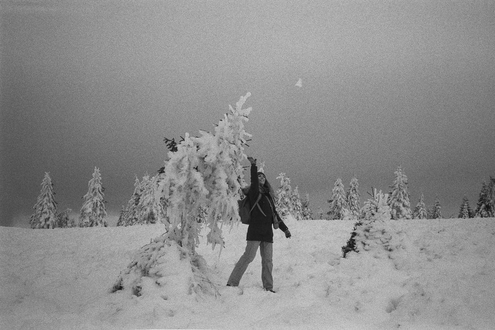 Nikon AF3 film Point and Shoot camera