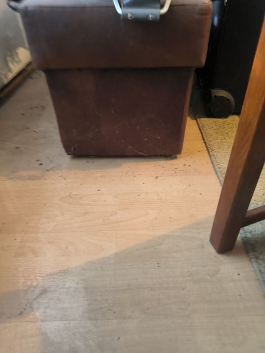 Set canapea si taburet