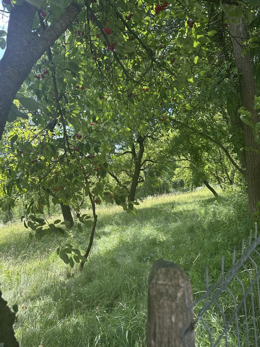 Vând teren intravilan – 2.012 mp, Boteni, Argeș