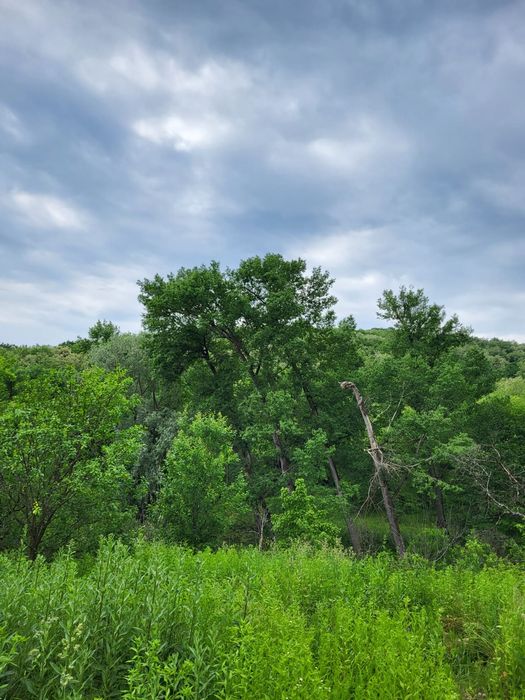 Casa de vânzare, teren 2500mp