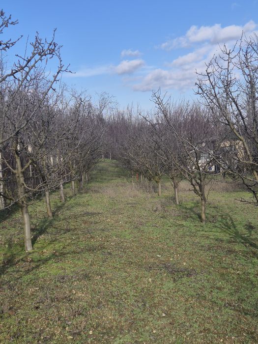 Продава се Къща в Шумен, м-т Сакарка - 35 кв.м за 656 €/кв.м - Снимка #11