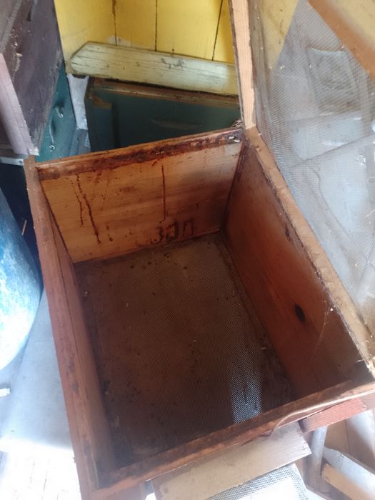 Lazi petru stupi 100buc, stas 10 rame