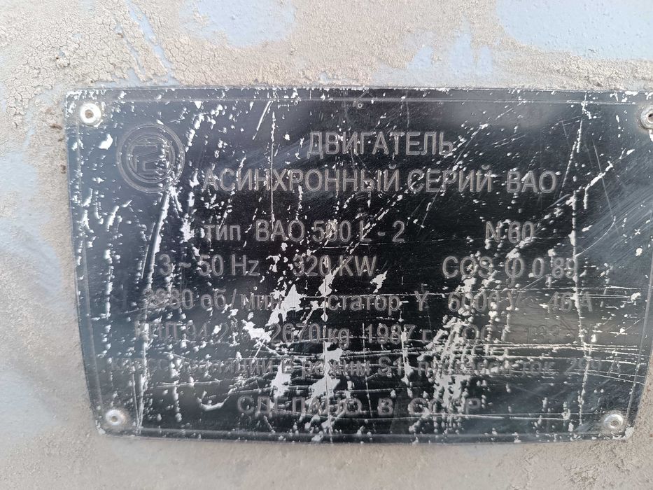 Електродвигател  320 KW