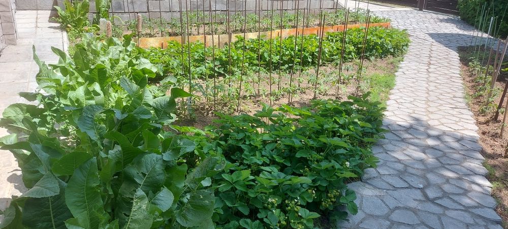 Продаю Дом Голубой залив