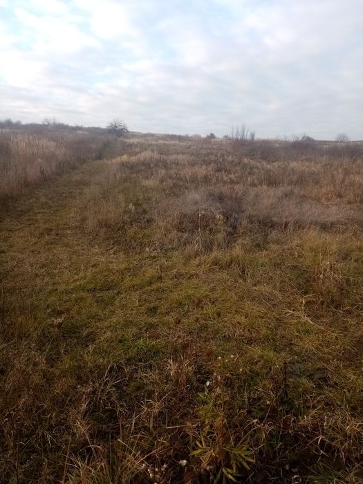 Vând terenuri extravilane