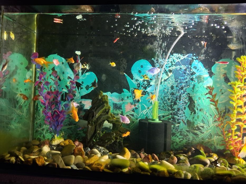 Продам большом оквариум на 120л