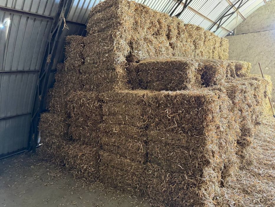 Ловия пресс Lubiya press