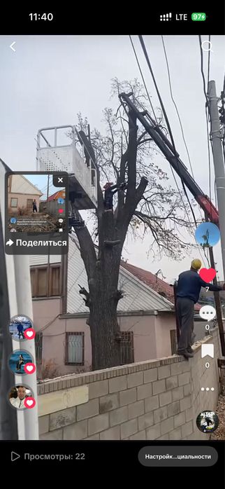 Спил деревье Ағаш кесу