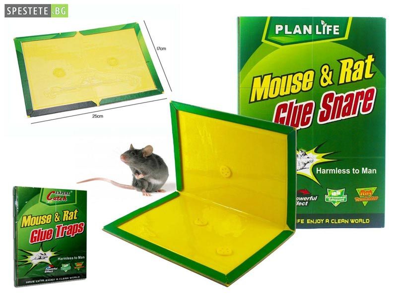 Капан за мишки и плъхове  Топ цена