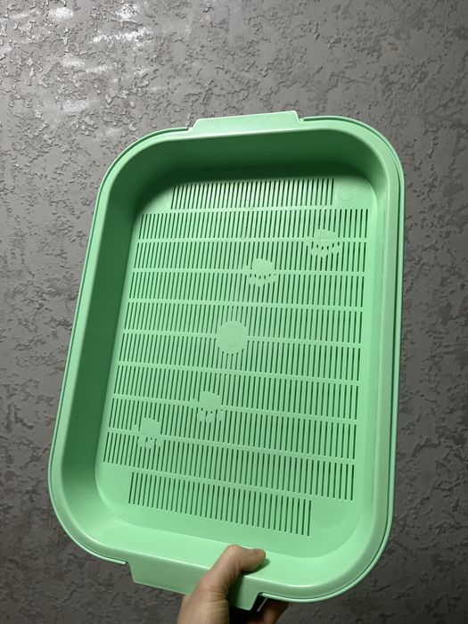 кошачий лоток / лоток для кошек