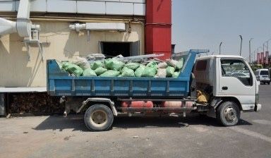 Вывоз мусора быстро и недорого!