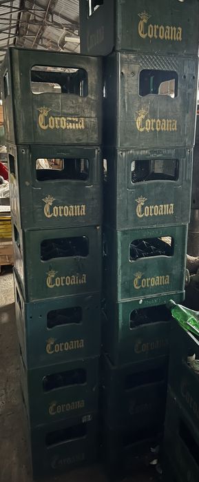 Lazi de bere Coroana