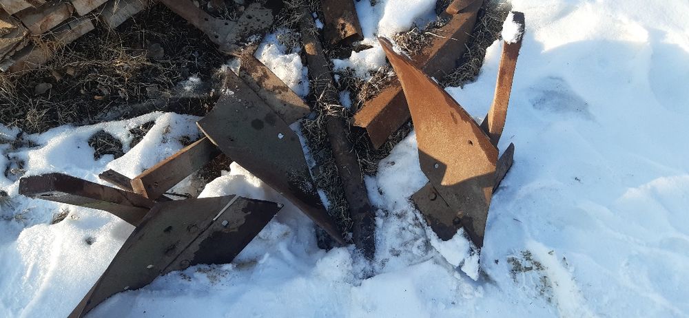 Предплужник сока