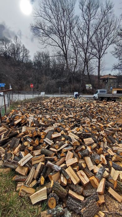 Дърва за огрев !!! 0879137009