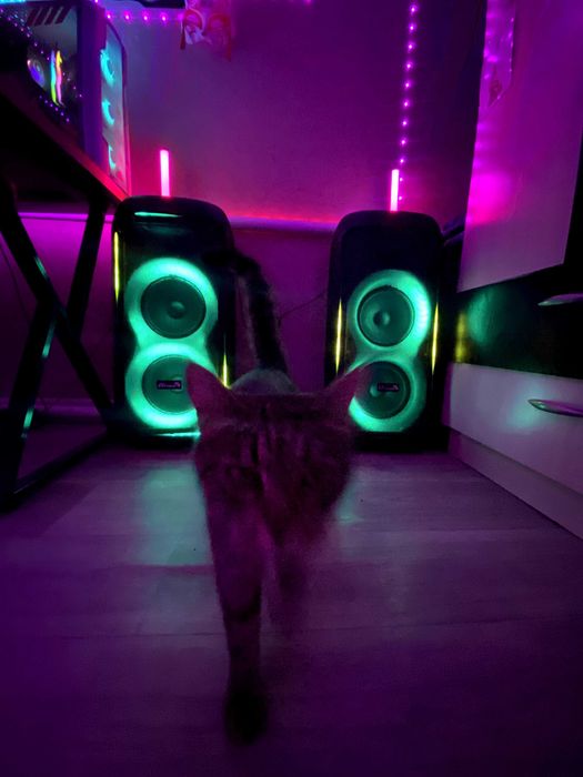 Продам 2 колонки ELTRONIC CRAZYBOX 1000