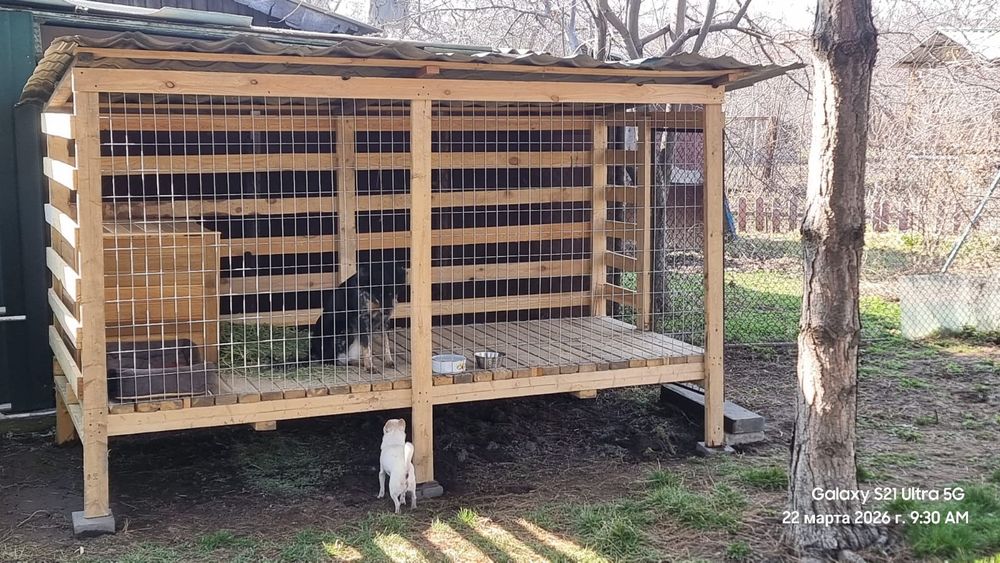 Вальер клетка для собак