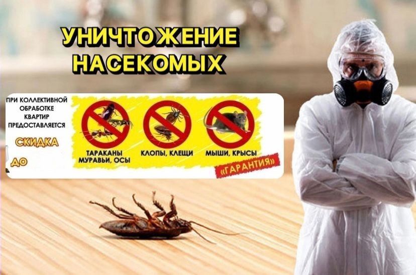 Дезинфекция от клопов. Уничтожение тараканов. Обработка | Dezinfeksiya