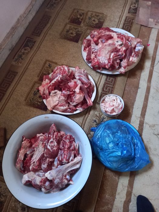 Қойдың еті сатылады