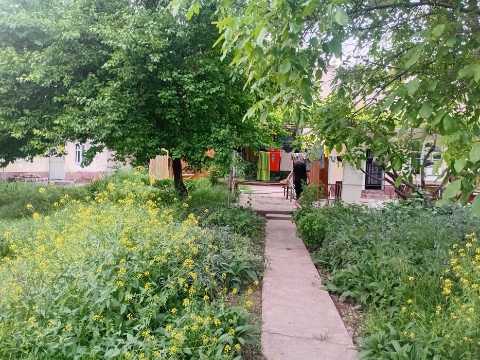 Продаю дом мечты у воды Ташморе