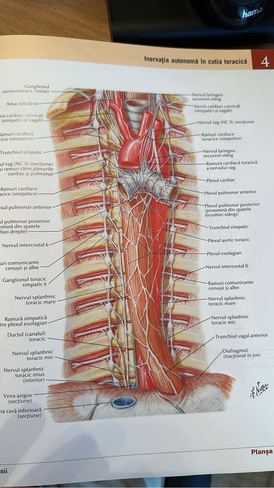 Pregătire BAC biologie & admitere Medicină/Farmacie/Kineto biologie