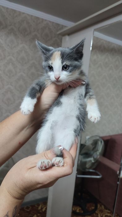 Девочка полтора месяца