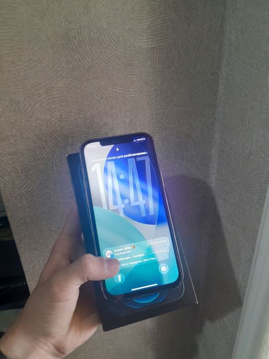iPhone 12 pro max