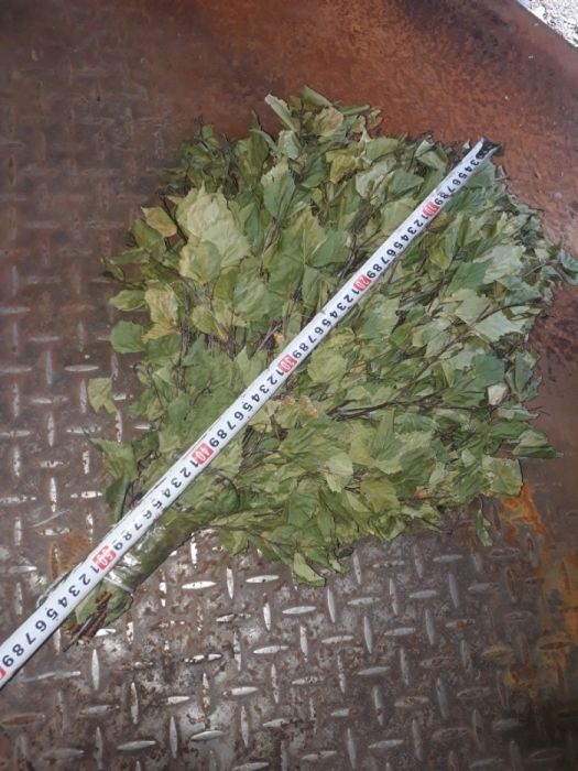 Веники березовые