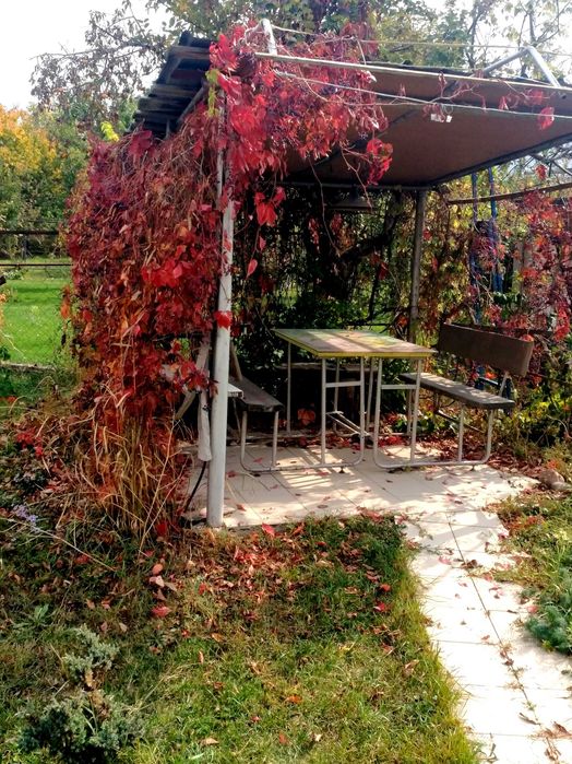 Продаю дачу у поселка Ават, 6 соток