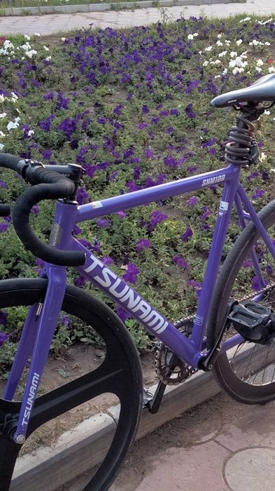 Продается TSUNAMI SNM 100