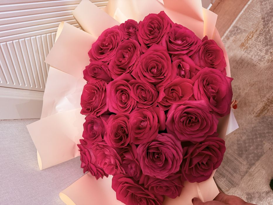 Цветы свежие, роза